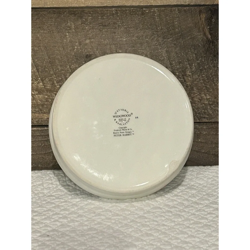 Vintage Set of 2 Wedgwood Beatrix Potter Peter Rabbit Plate & Porridge Bowl READ
